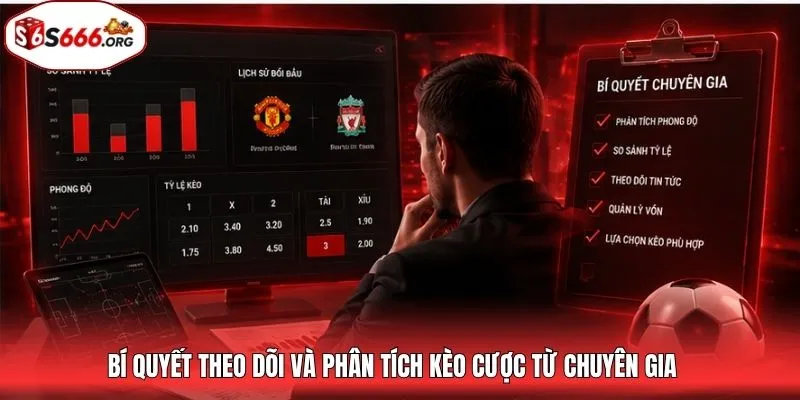Bí quyết theo dõi và phân tích kèo cược từ chuyên gia