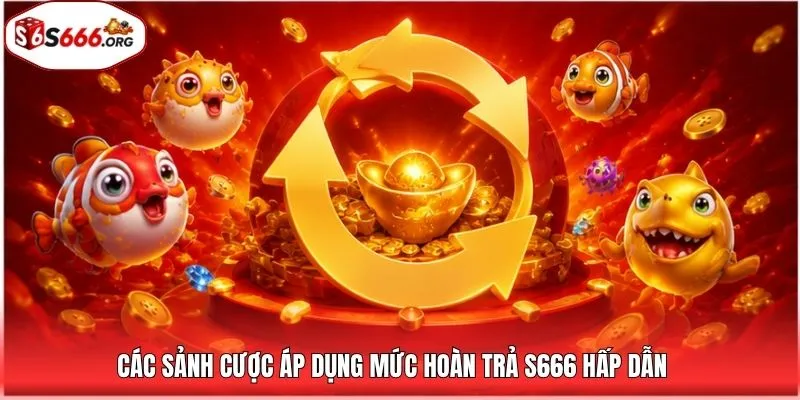 Các sảnh cược áp dụng mức hoàn trả S666 hấp dẫn