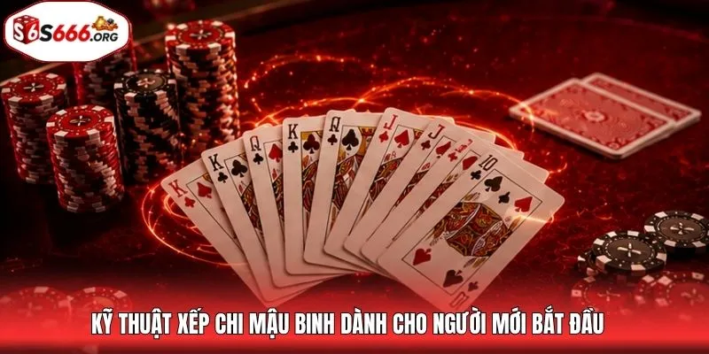 Kỹ thuật xếp chi mậu binh dành cho người mới bắt đầu